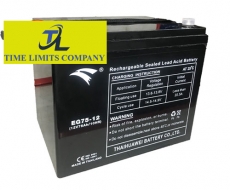 Bình ắc quy UPS EG75-12 ( 12V-75Ah )