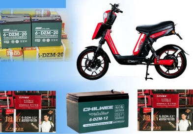 Bình Ắc Quy Xe Đạp Điện Pega – Hkbike