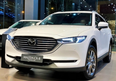 Giá Bán Bình Ắc Quy MAZDA CX-8 Tại TPHCM