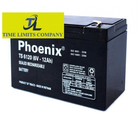 Bình ắc quy Phoenix TS 6120 (6V-12AH)