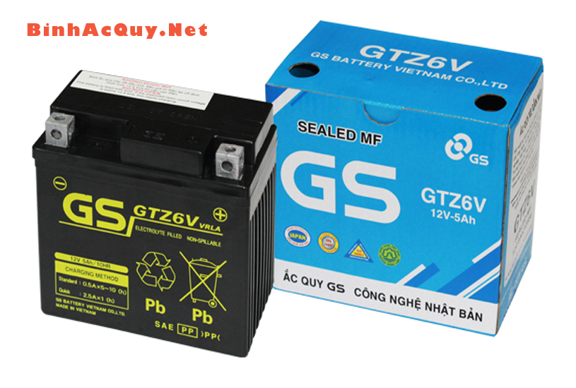 Bình ắc quy GS GTZ6V