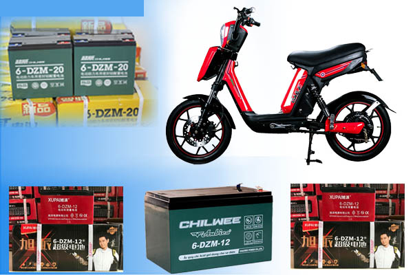 Bình Ắc Quy Xe Đạp Điện Pega – Hkbike TPHCM Chính Hãng Giá Rẻ